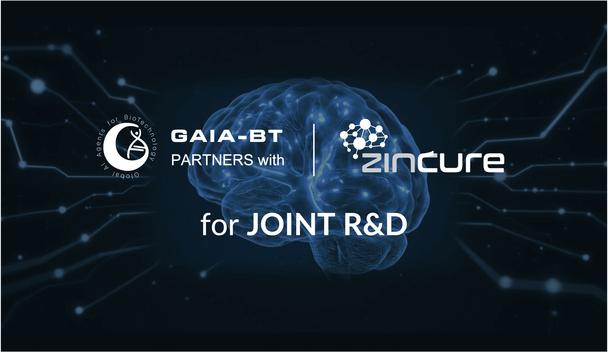 Banner announcing GAIA-BT's partnership with Zincure for joint R&D, over a digital brain and neural network graphic.